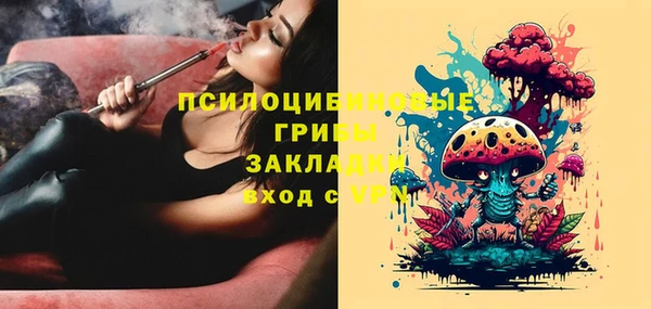 меф Арсеньев