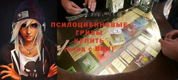 шишки Аркадак