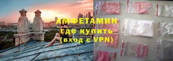шишки Аркадак