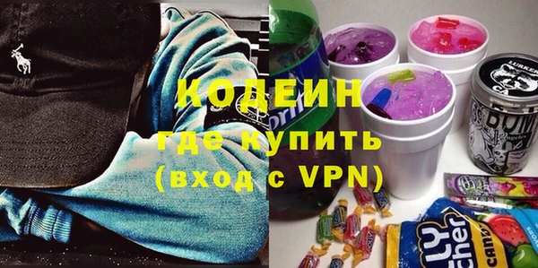 шишки Аркадак