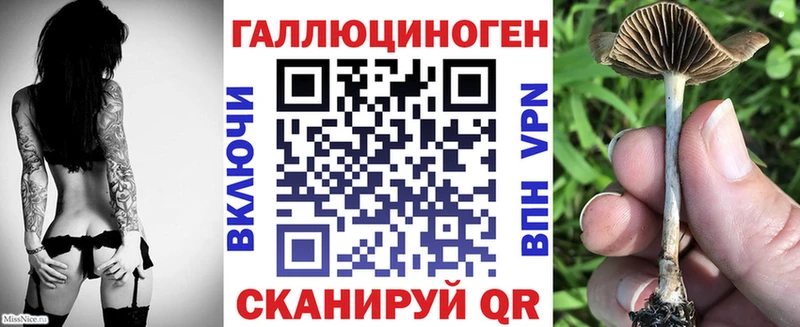 Галлюциногенные грибы Magic Shrooms Высоцк