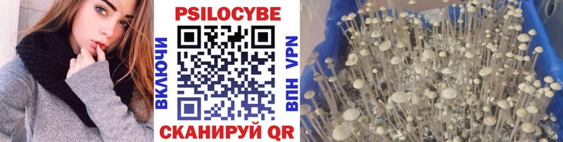 Галлюциногенные грибы мицелий Купить Высоцк
